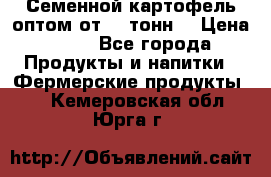 Семенной картофель оптом от 10 тонн  › Цена ­ 11 - Все города Продукты и напитки » Фермерские продукты   . Кемеровская обл.,Юрга г.